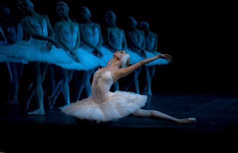 Swan Lake Ballet Reviewed Ballet News