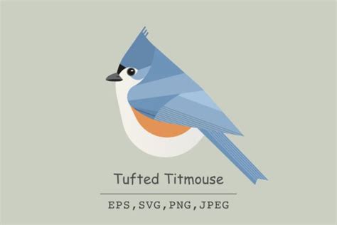 Tufted Titmouse Bird Vector Png Jpeg Graphic By Tanatvee Artworks · Creative Fabrica