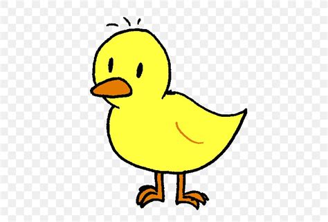 Duck Undertale Flowey Author Bird Png 497x557px Duck Animaatio