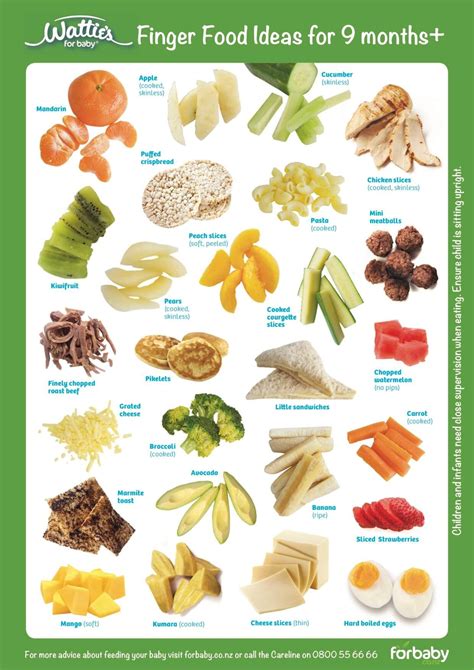 A complete feeding schedule for 8, 9, and 10 month old babies. Finger Food Ideas for 9 months plus | Healthy baby food ...