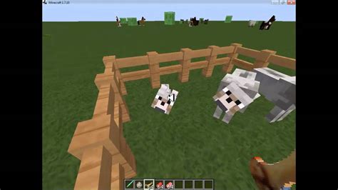 Como domesticar y Alimentar lobos en Minecraft! - YouTube