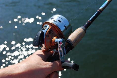 Fishing Reel Types A Beginner S Guide To Reels