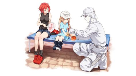Cells At Work Red Blood Cell Platelet White Blood Cell 4k Hd