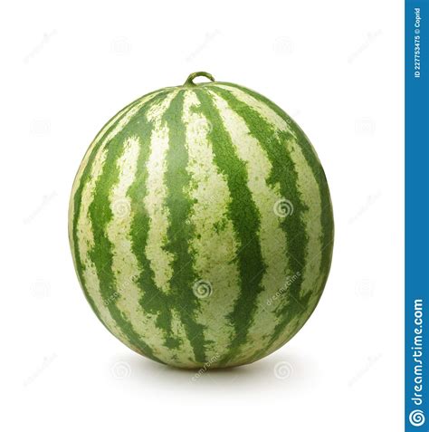 Whole Ripe Fresh Watermelon Stock Image Image Of Juicy Circle 227753475