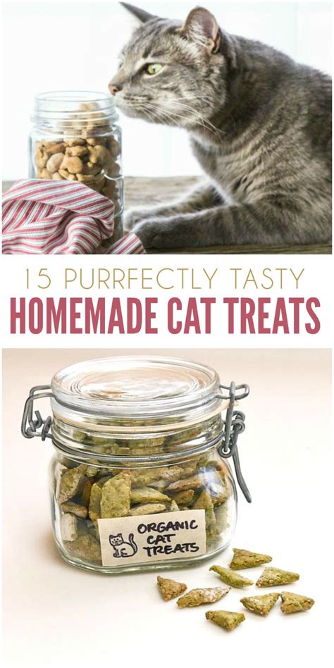 15 Purrfect Homemade Cat Treats To Spoil Your Kitty