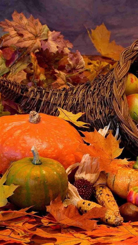 Fall Thanksgiving Wallpaper 60 Images