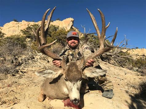 Trophy Mule Deer In New Mexico S Top Units