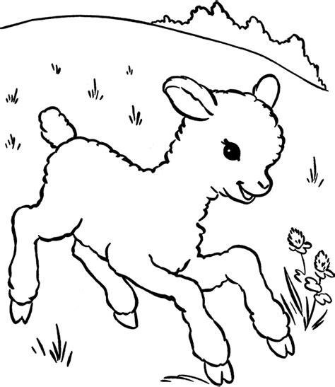 Coloring Page Lamb 198 Animals Printable Coloring Pages