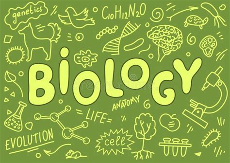 Biology Hand Drawn Doodles With Lettering Stock Vector Illustration