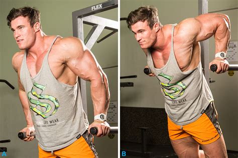7 Training Tips For The Lower Chest With Images Lower