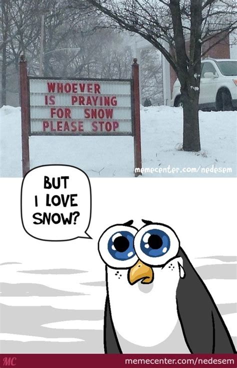 Snow Memes Best Collection Of Funny Snow Pictures