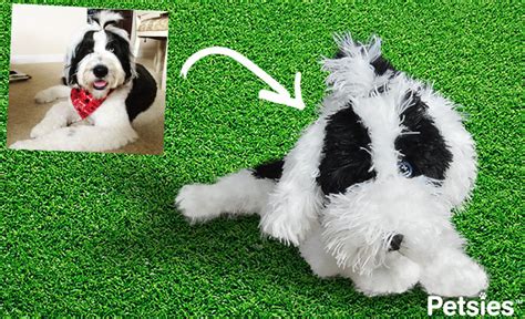 Personalized gifts for pet owners. Custom stuffed animals for your pet. We turn a picture of ...