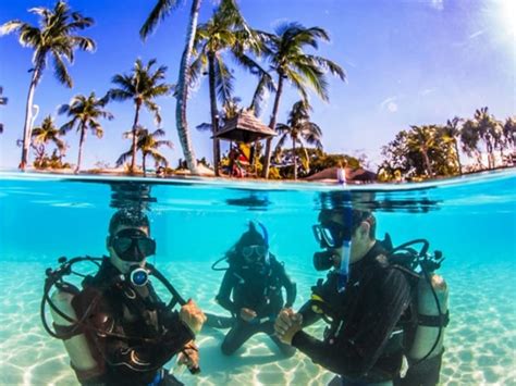 Half Day Mactan Scuba Diving Experience With Padi Instructor Tours