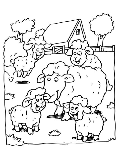 Kleurplaat Schaap En Lam • Kidkleurplaat.nl
