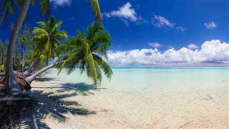 Nature Landscape Beach White Sand Island Palm Trees Sea Clouds