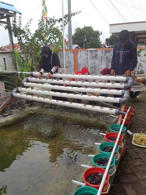 Budidaya Sayuran Dan Ikan Modern Dengan Sistem Aquaponik Di Kelurahan