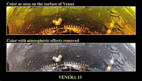 Could There Be Life On Venus One Scientist Thinks So