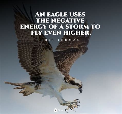60 Eagle Quotes And Sayings Quoteish Eagles Quotes Eagle Lone