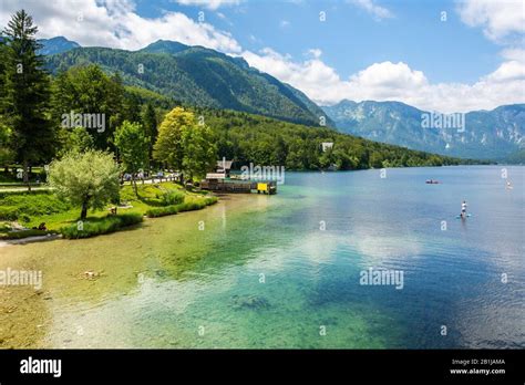 View Of Lake Bohinj In Slovenia In Summer Stock Photo Alamy
