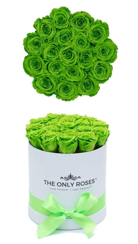 Green Preserved Roses Medium White Round Rose Hat Box Preserved