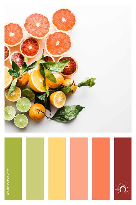 orange - astelle's colors | Farbpalette, Grüne farbpalette, Farb-kombis