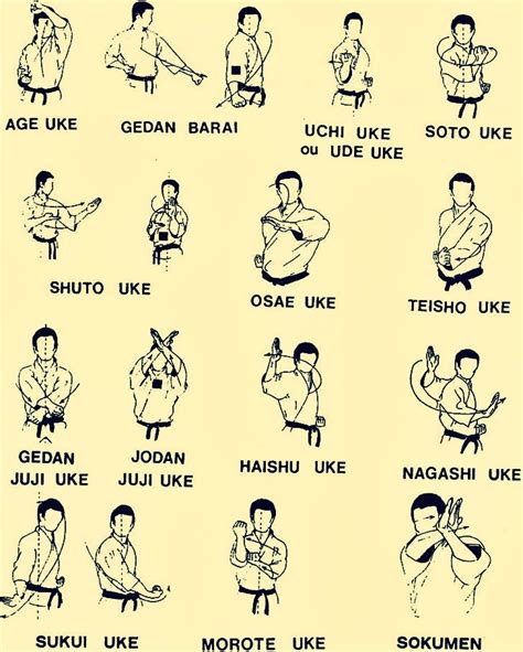 Karate Kata Steps Karate The Complete Kata Kanazawa Hirokazu Amazon