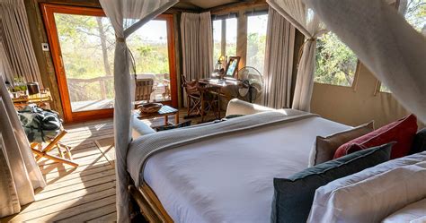 Camp Xakanaxa Authentic Luxury Safari Experience In Moremi Game