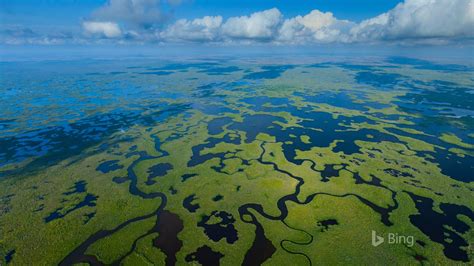 Aerial View Of Everglades National Park In Florida 2016