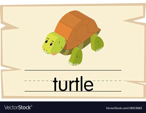 Wordcard With Word Turtle Royalty Free Vector Image