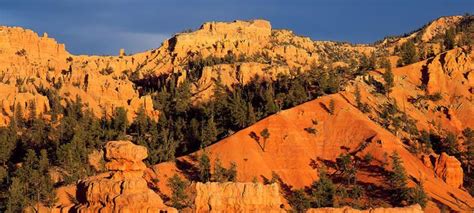 Dixie National Forest Is Located In Southern Utah Over 170 Miles