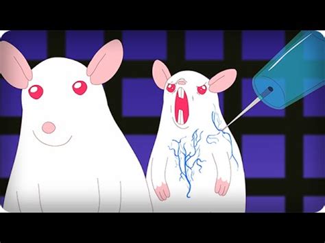 Check spelling or type a new query. Pinky And The Brain Theme Song - Scientifically Accurate ...