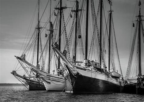Windjammer Fleet Photograph By Fred Leblanc Fine Art America