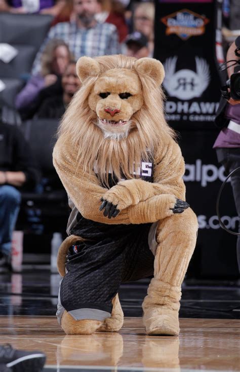 A Ranked List Of All Nba Mascots Who Is The Best Mascot In Basketball