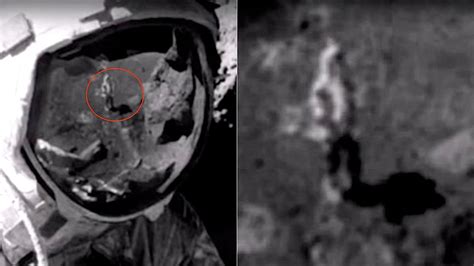 wild conspiracy theory claims that apollo moon landing was faked touts new photo evidence