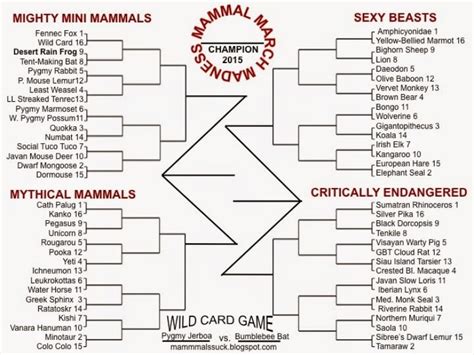 Mammals both mythical and real face off in online March Madness | CBC Radio