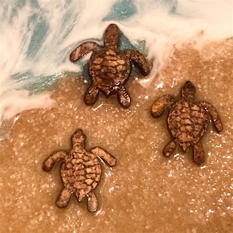 Epoxy Resin Ocean Art Turtle With Turtle Hatchings Etsy