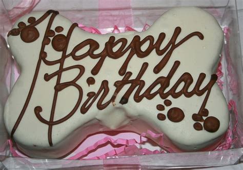 While petsmart and chewy were likely disappointed by this decision, one could argue that the vast majority of their customers were unlikely to purchase these premium products and that the impact may be minimal. Birthday Cake For Dogs: 30 Easy Doggie Birthday Cake Ideas ...