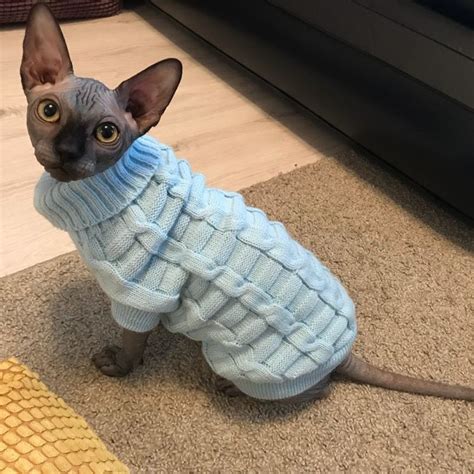 Cat Winter Warm Knotted Sweater Cute Hairless Cat Cat Sweaters Cat