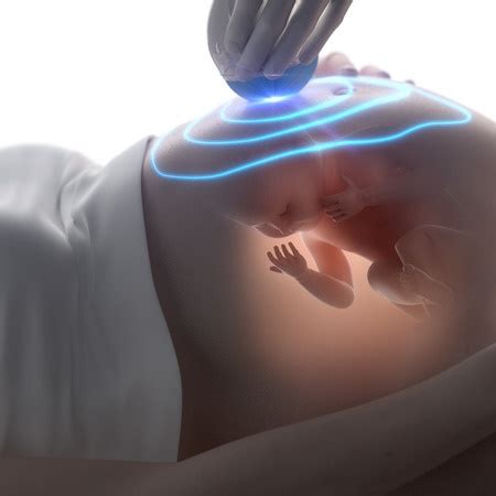 Rafael ortega muñoz in which a fetus of 12 weeks. 12 Weeks Pregnant | Signs, Symptoms, Body Changes ...