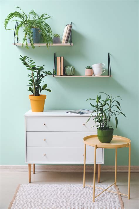 Mint Green Living Room Ideas For A Quick Room Refresh Décor Aid
