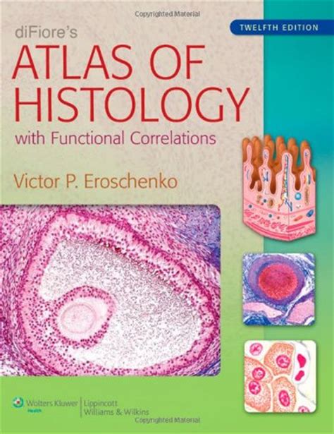 Atlas Of Histology Pdf Download Pdf Medicalcom