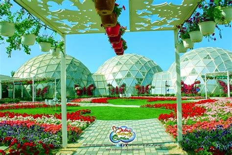 Amazing Magazine First Butterfly Garden Opens In Dubai