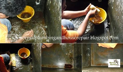 Buat pengetahuan korang semua, tempat aku dan kawan kawan aku sewa itu, perumahan cina. NORMAL PLUMBING: MENCUCI TANGKI AIR SIMPANAN DI TAMAN ...