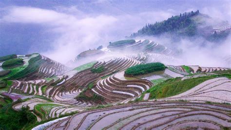Longji Rice Terraces Of Longsheng With Dazhai And Pingan Village
