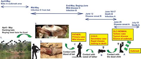 An unprecedented number of ebola virus infections among healthcare workers and patients have raised questions about our understanding of ebola virus transmission. Schematic diagram of the putative chain of Ebola virus ...