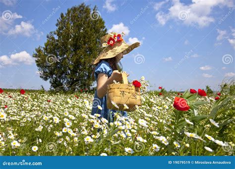 Spring Comes Stock Image Image Of Nature Berry Lifestyle 19079519