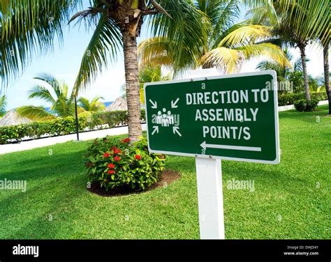 Assembly Point Sign On Green Background With White Border In A Tropical