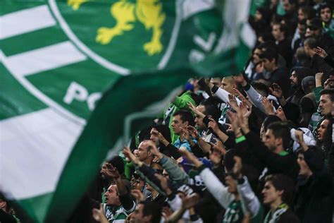 @Sporting adeptos verdes #9ine | Sporting, Sporting clube de portugal, Sporting clube