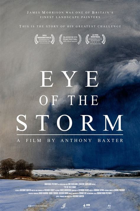 Eye Of The Storm 2021 — The Movie Database Tmdb