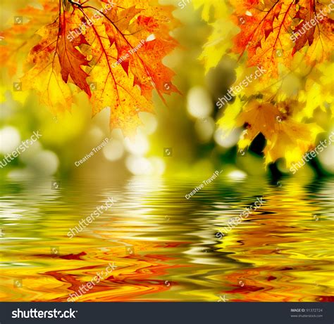 Colorful Autumn Leaves Reflecting In The Water Stock Photo 91372724